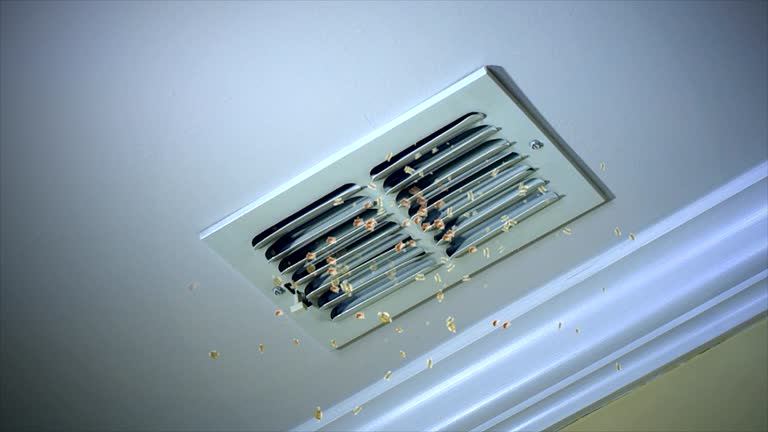 Best Dryer Vent Cleaning Services  in Gray, GA